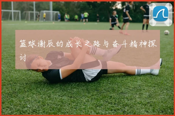 篮球谢辰的成长之路与奋斗精神探讨