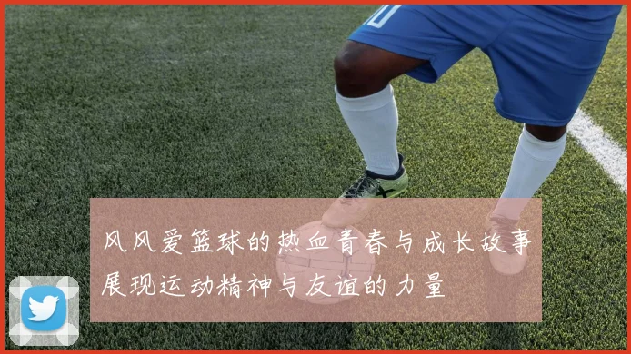 风风爱篮球的热血青春与成长故事展现运动精神与友谊的力量