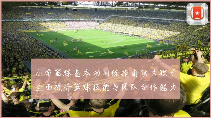 小学篮球基本功训练指南助力孩子全面提升篮球技能与团队合作能力